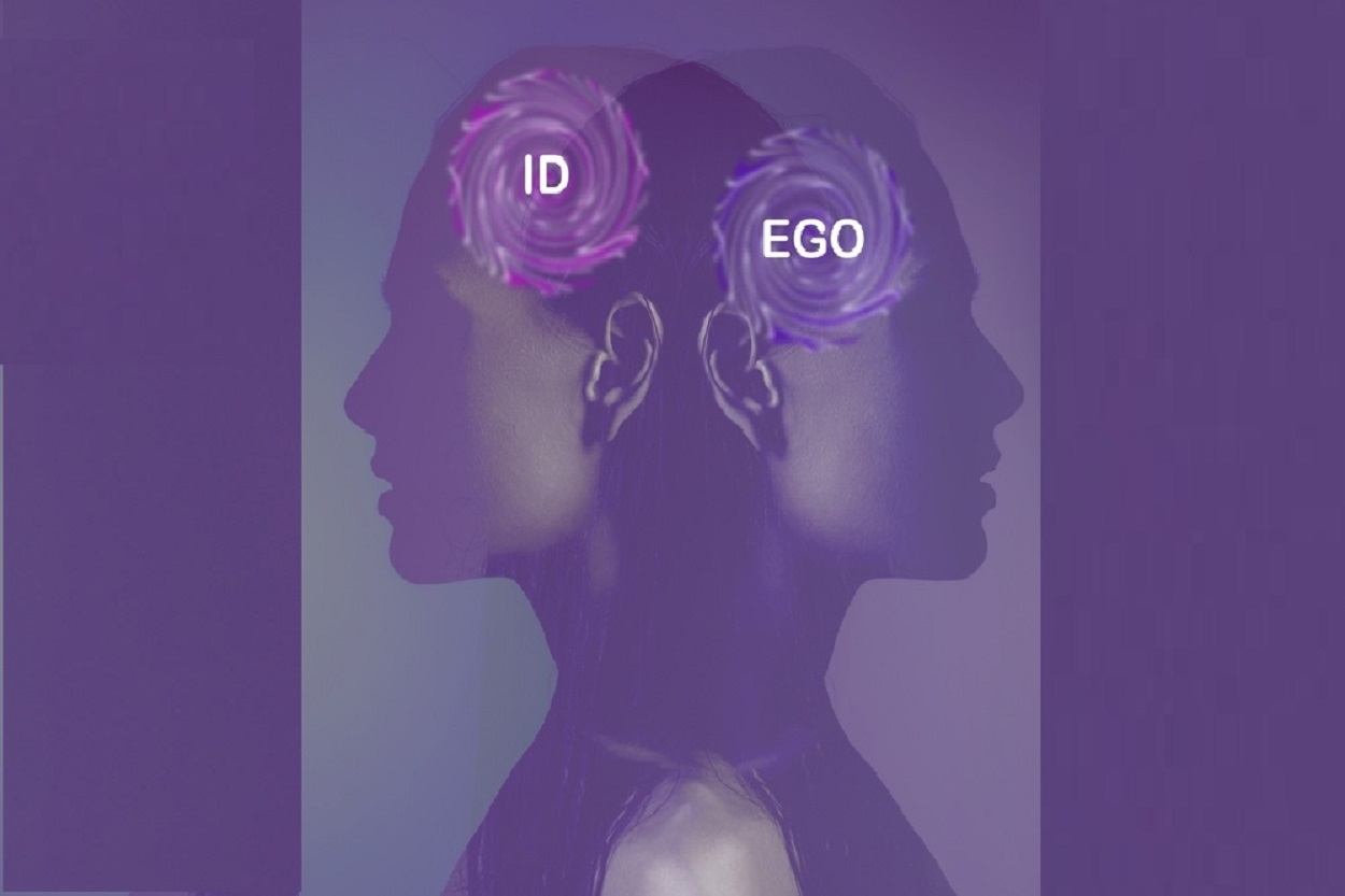 تمایز اید و ایگو / نظریه روانکاوی