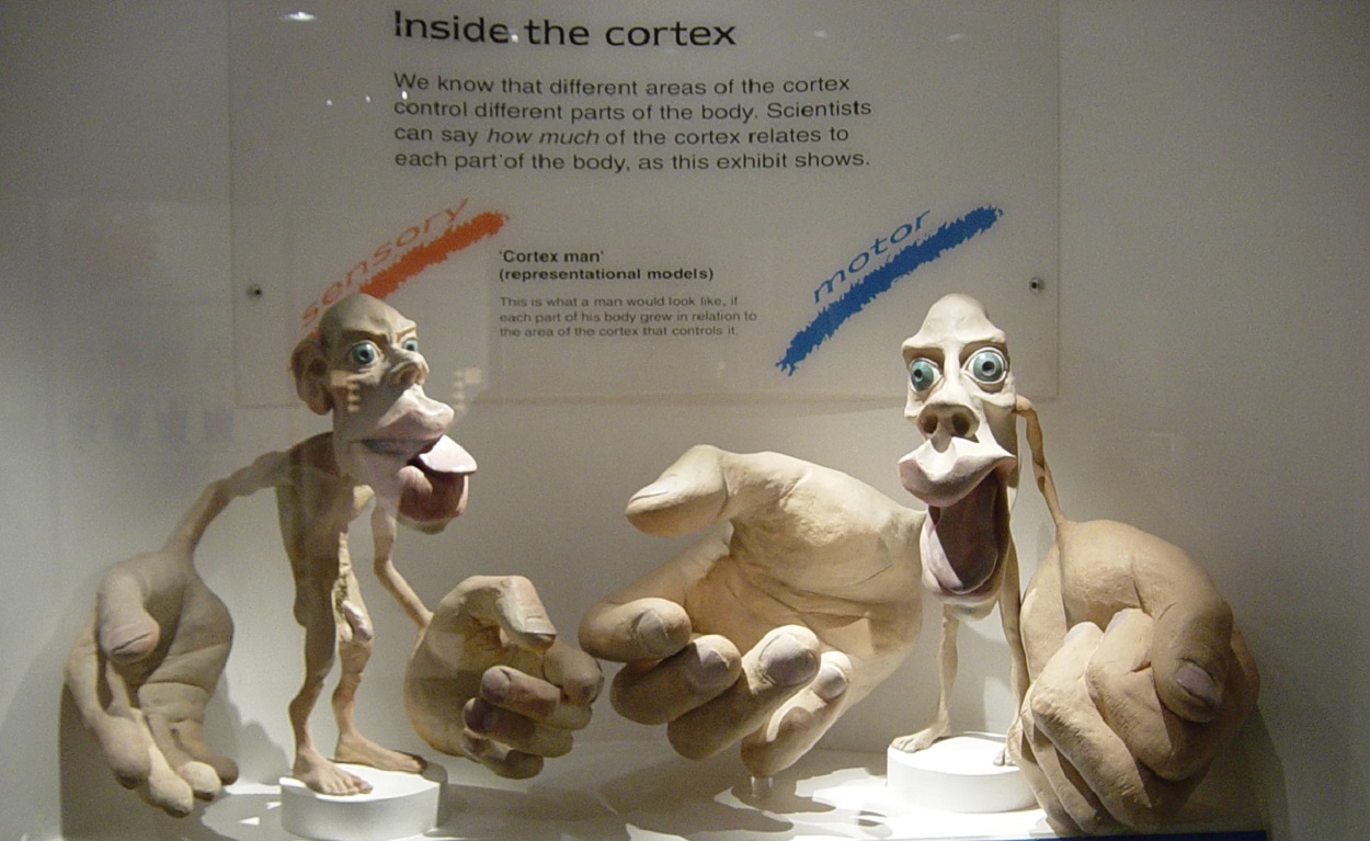 تمایز اید و ایگو / نظریه روانکاوی