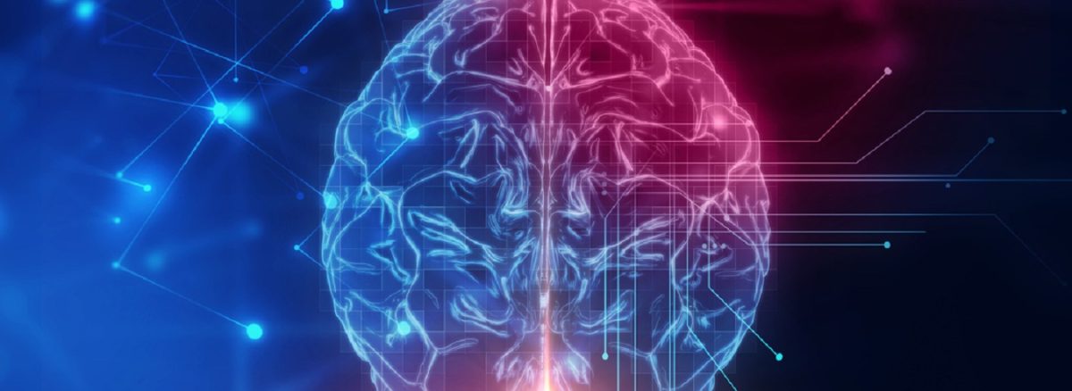 تمایز اید و ایگو / نظریه روانکاوی