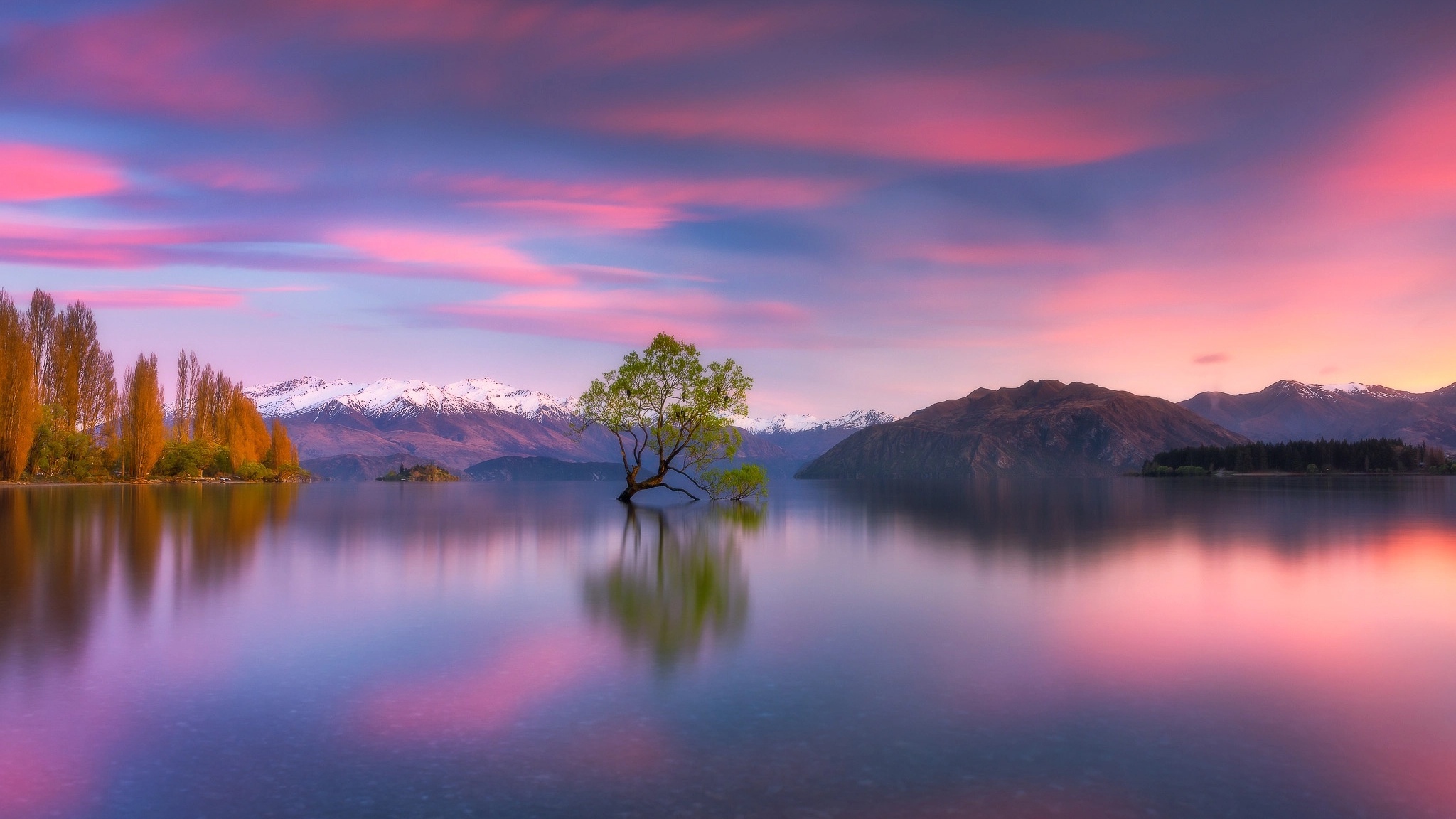 جمع‌بندی و چشم‌انداز تنظیم هیجانی