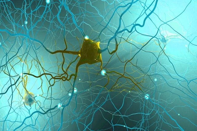 تنظیم عواطف