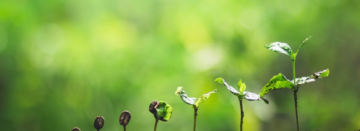 جدول مراحل رشد پیاژه به همراه توضیح کامل چهار مرحله رشد شناختی کودکان