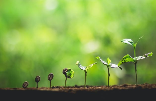 جدول مراحل رشد پیاژه به همراه توضیح کامل چهار مرحله رشد شناختی کودکان