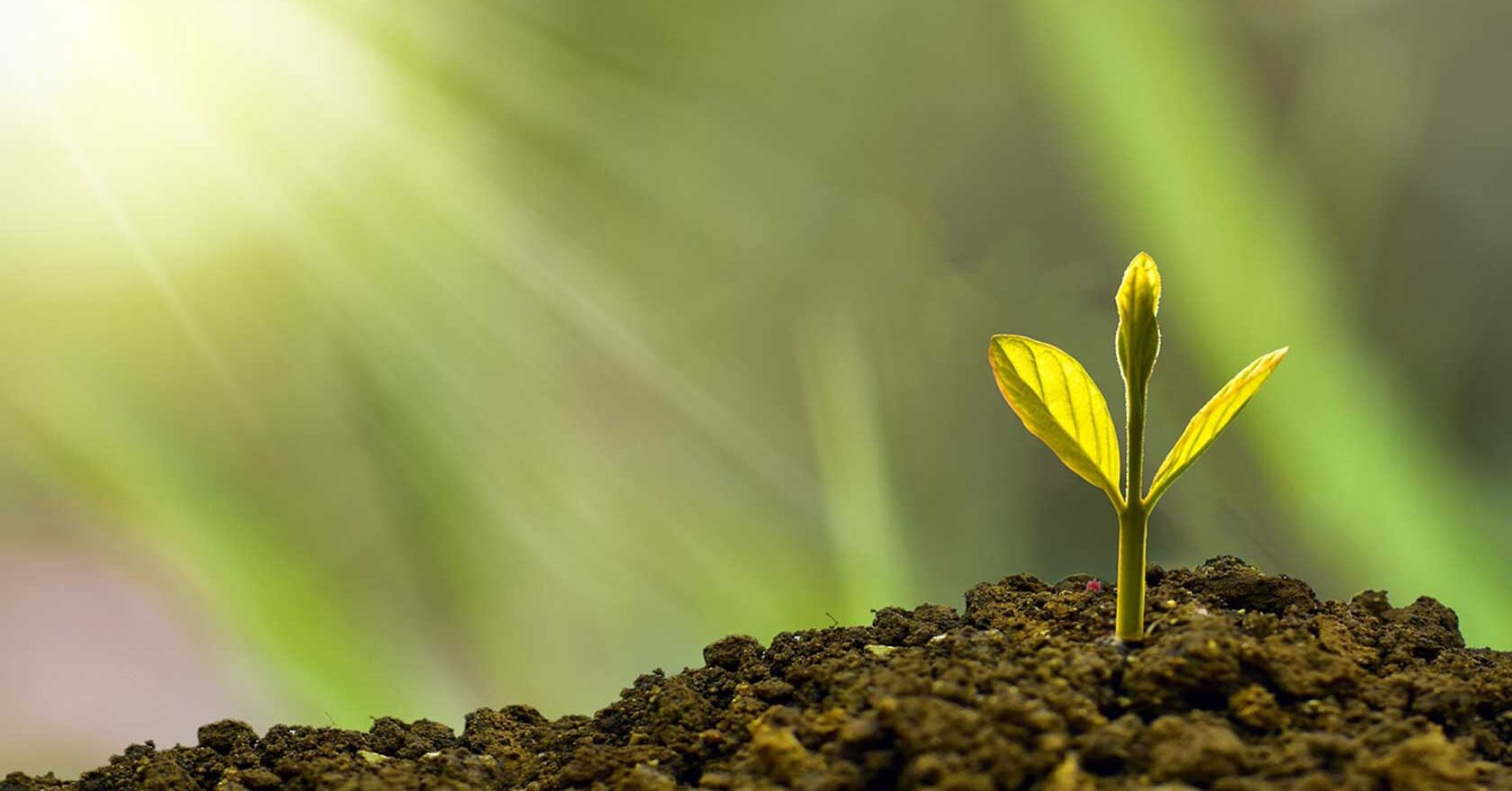 تجربه بیماران سرطانی در کشف معنای زندگی
