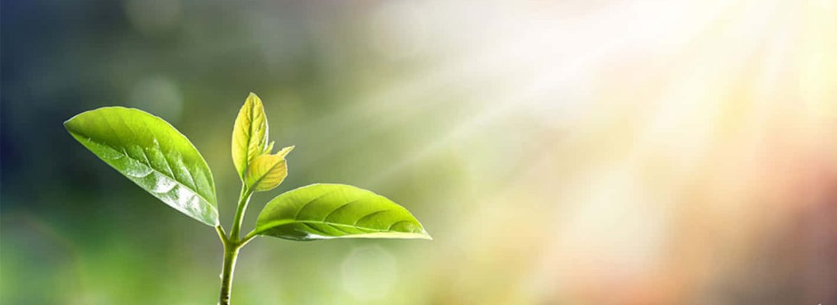 بیماری سرطان و نگاه تازه به معنای زندگی