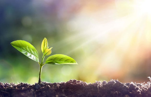 بیماری سرطان و نگاه تازه به معنای زندگی